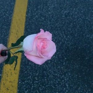 Meet your Posher, Victoria